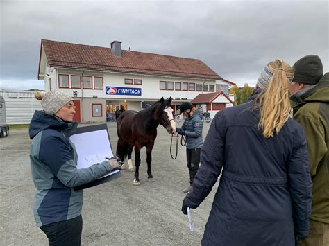 fodboldgolf stevns|Her kan i følge live...